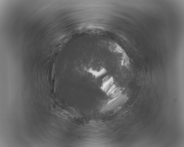 X0000056331013200509232007