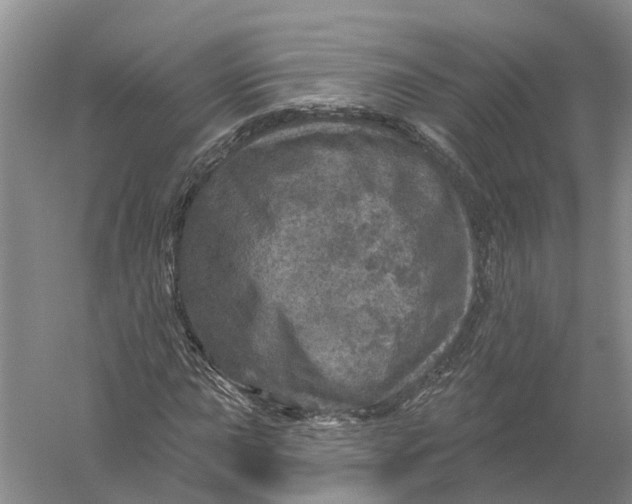 X0000056331015200509232007