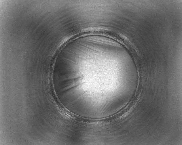 X0000056331017200509232007