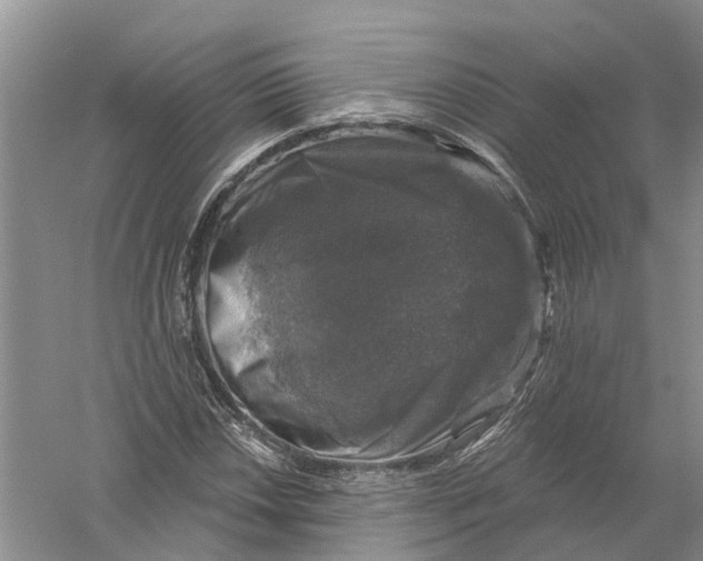 X0000056331018200509232007