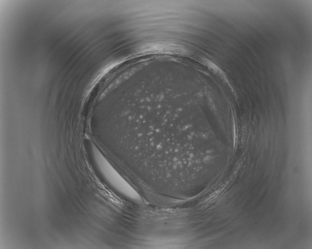 X0000056331019200509232007