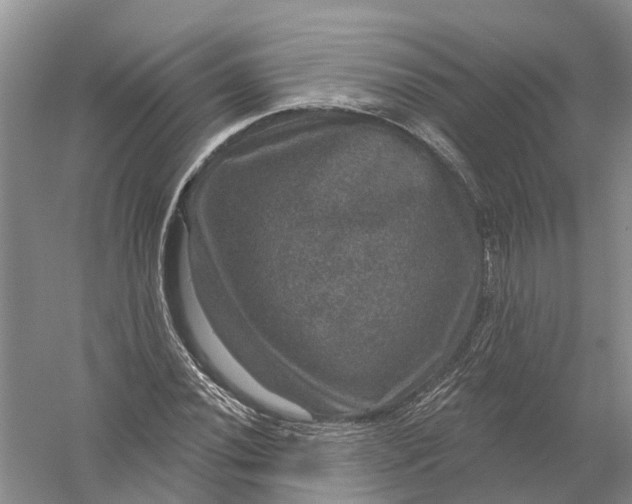 X0000056331020200509232007