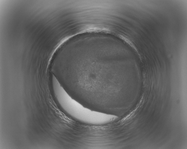 X0000056331021200509232007