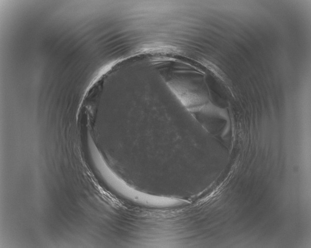 X0000056331022200509232007