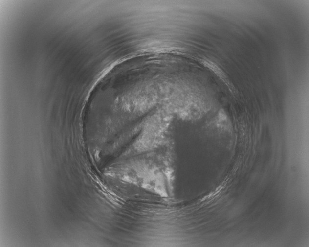 X0000056331023200509232007