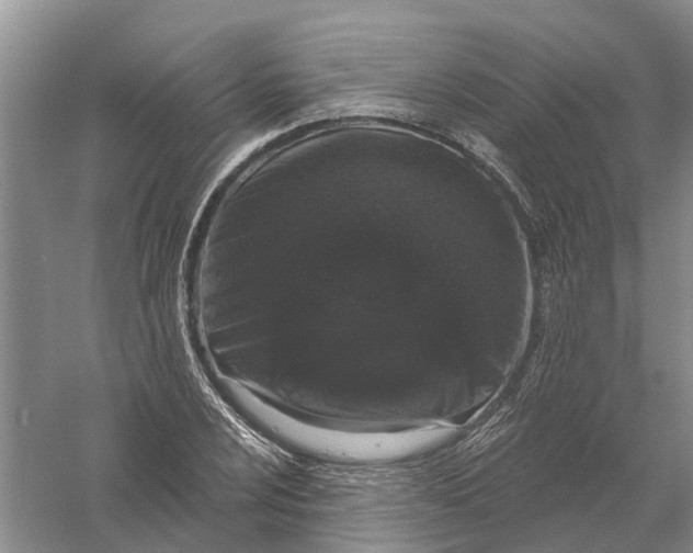 X0000056331024200509232007