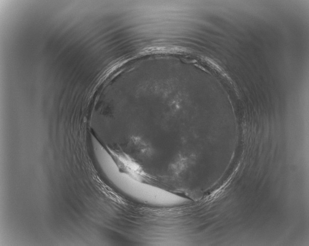 X0000056331025200509232007