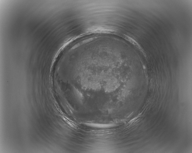 X0000056331027200509232007