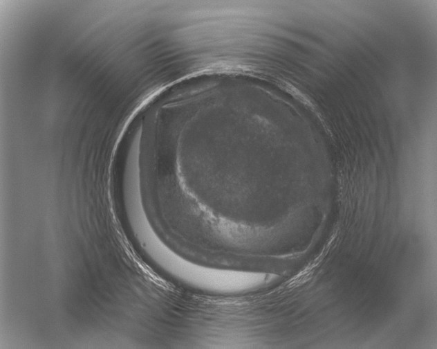 X0000056331029200509232007