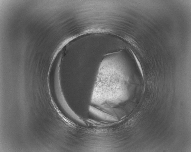 X0000056331030200509232007