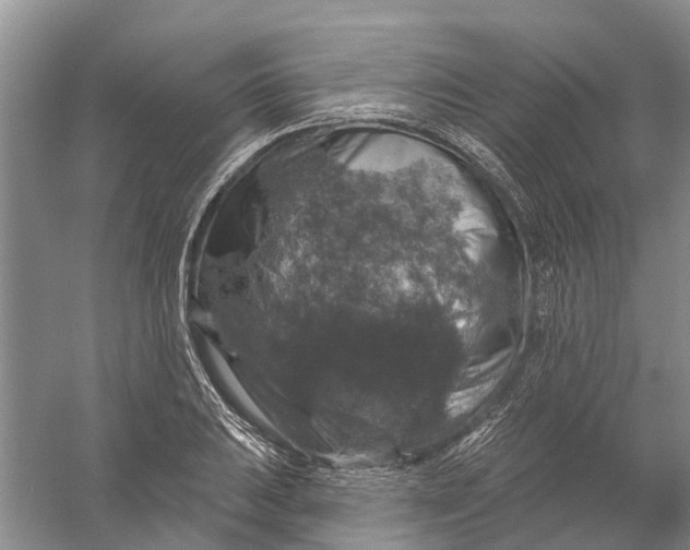 X0000056331031200509232007