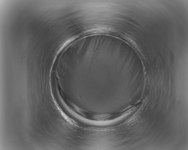 X0000056331034200509232007