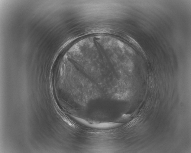 X0000056331035200509232007