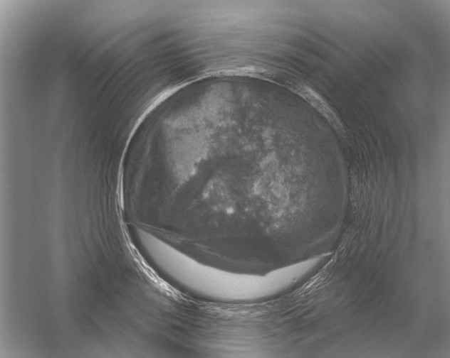 X0000056331036200509232007