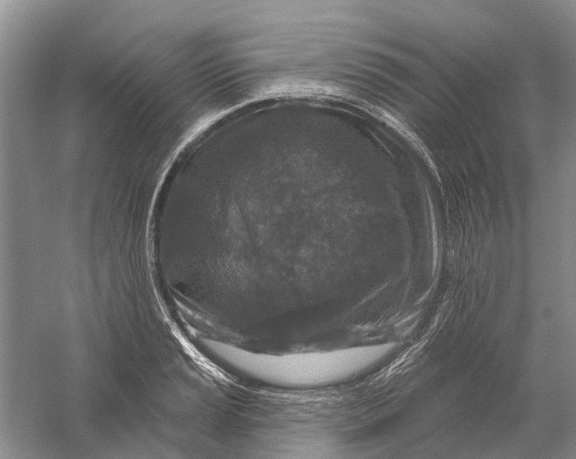 X0000056331037200509232007