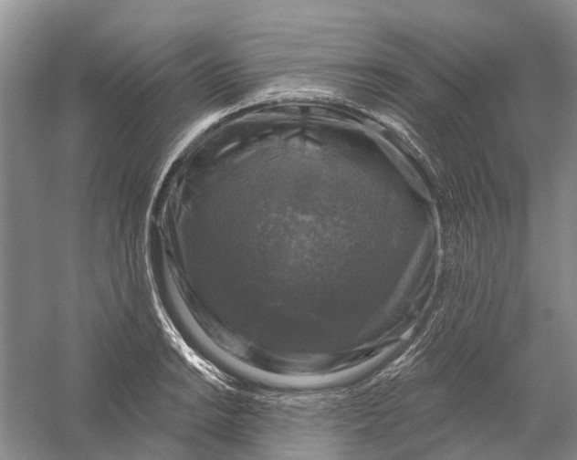 X0000056331038200509232007