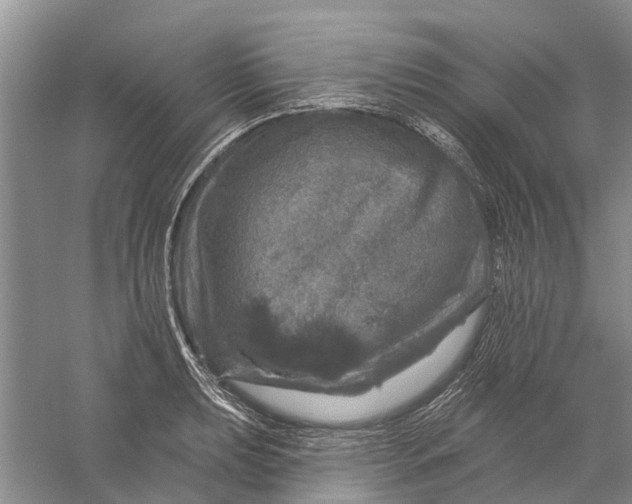 X0000056331039200509232007