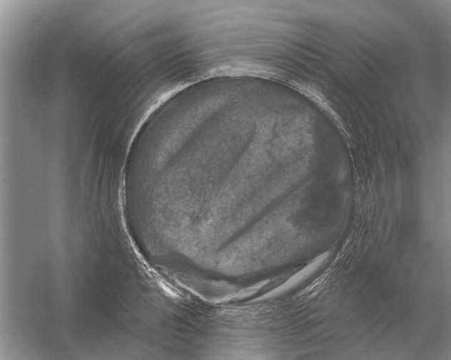 X0000056331040200509232007