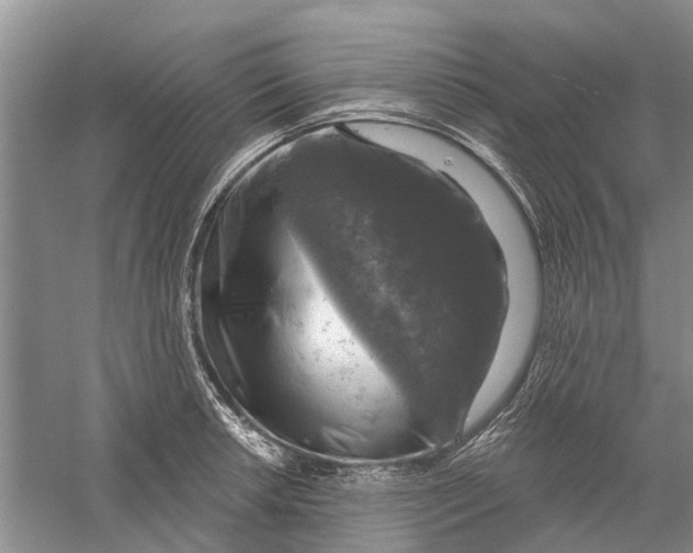 X0000056331042200509232007