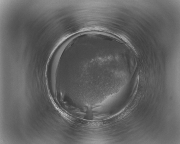 X0000056331046200509232007