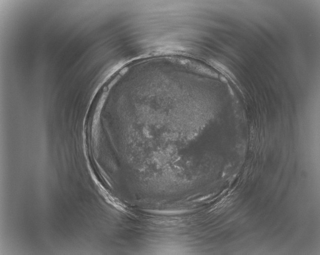 X0000056331047200509232008