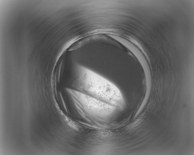 X0000056331050200509232008