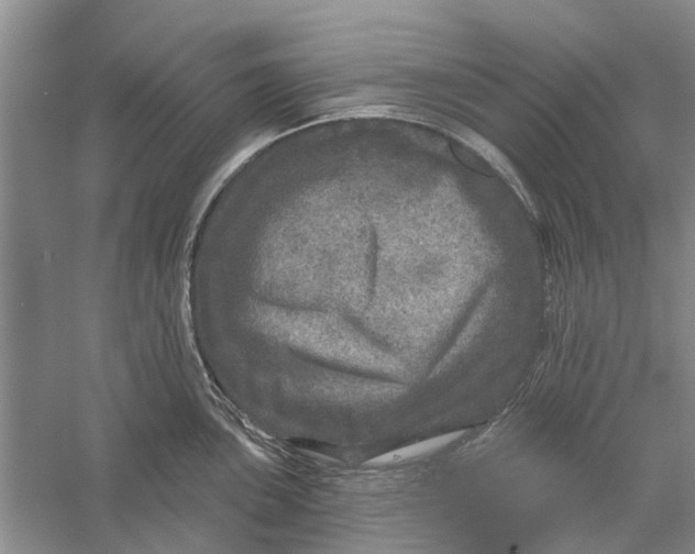 X0000056331051200509232008