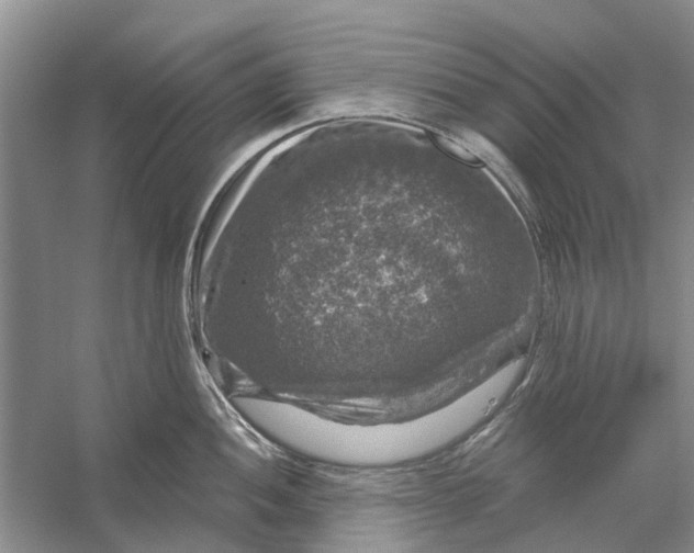 X0000056331052200509232008