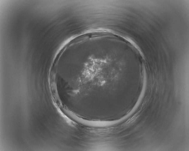 X0000056331054200509232008