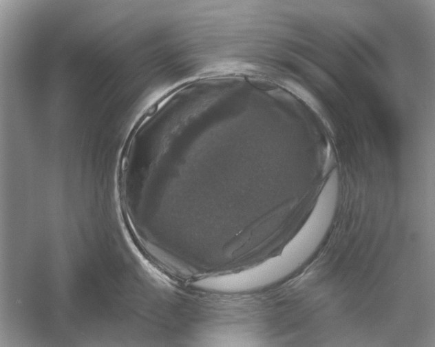 X0000056331055200509232008