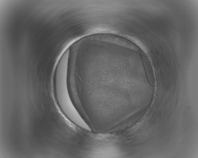 X0000056331056200509232008