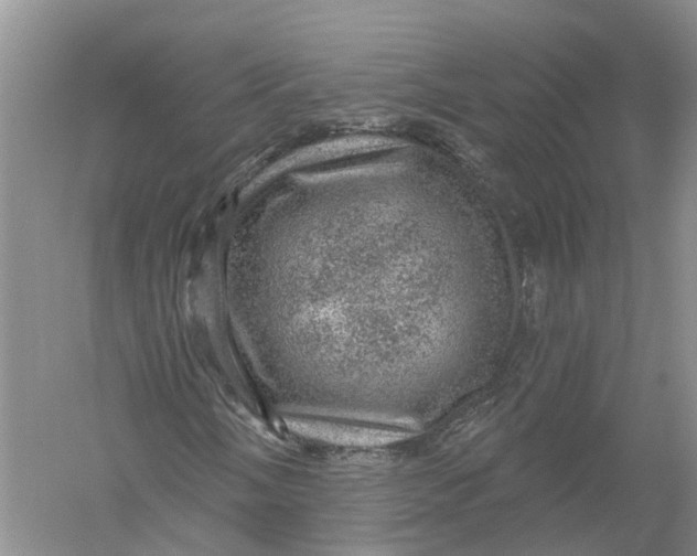 X0000056331058200509232007