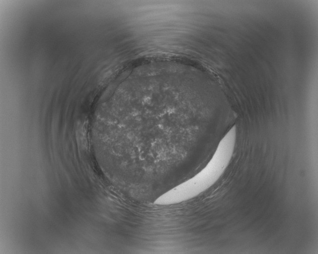 X0000056331059200509232007