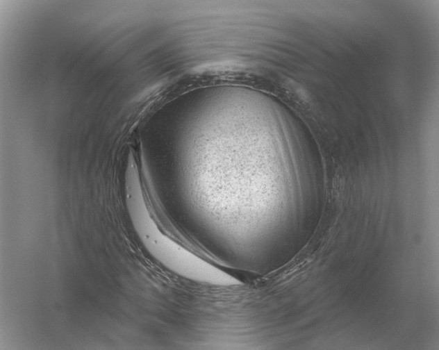 X0000056331062200509232007