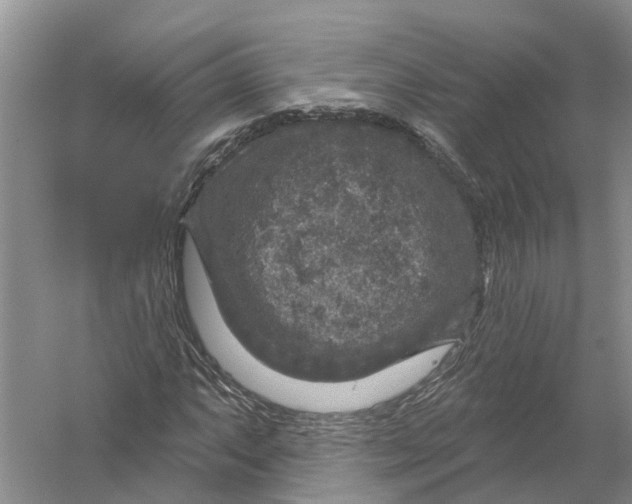 X0000056331063200509232007