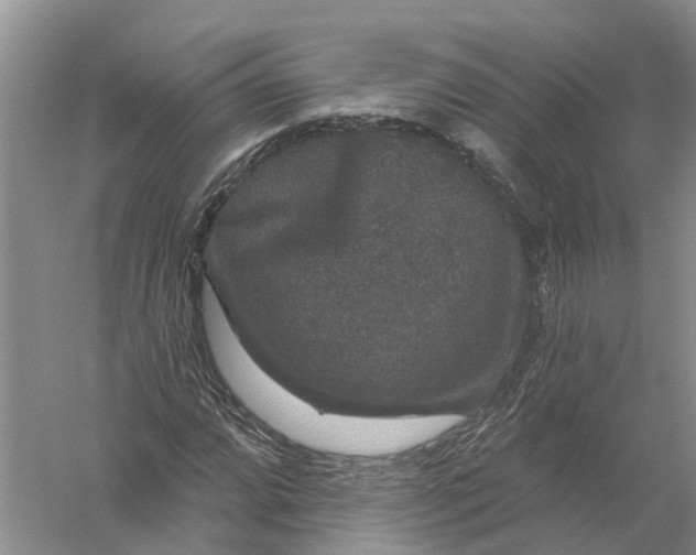 X0000056331064200509232007