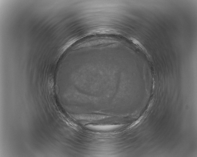 X0000056331065200509232007