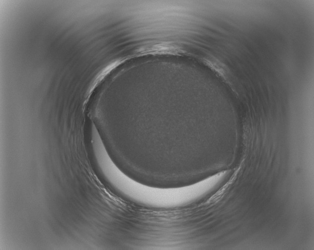 X0000056331066200509232007