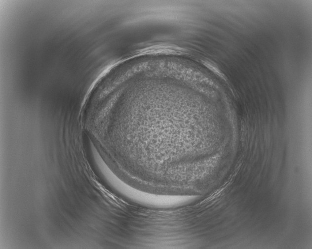 X0000056331067200509232007