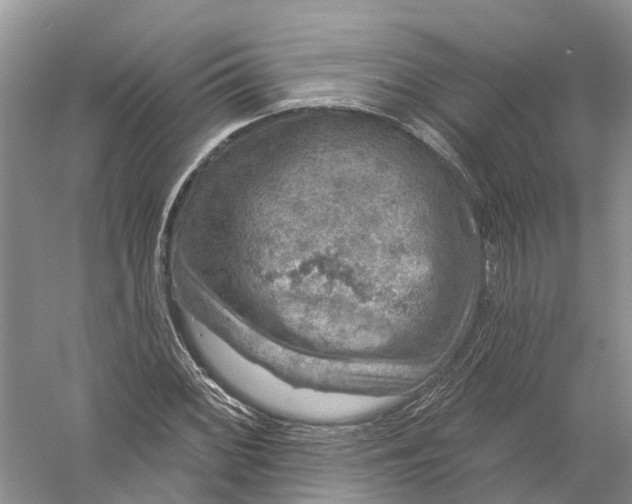 X0000056331068200509232007