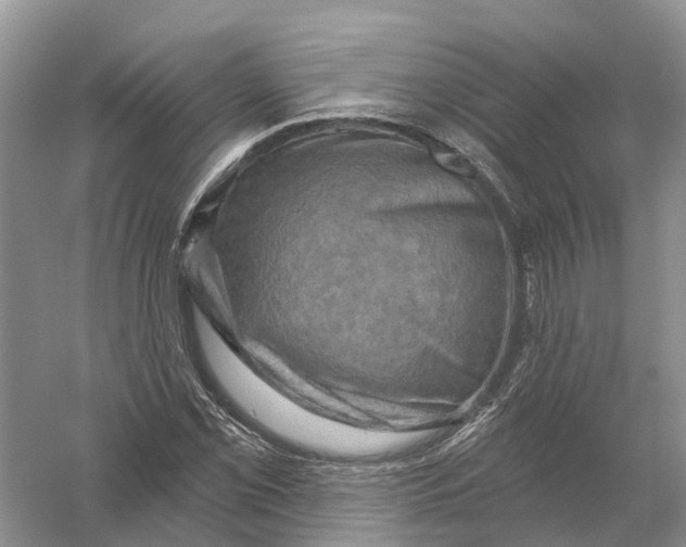 X0000056331069200509232007