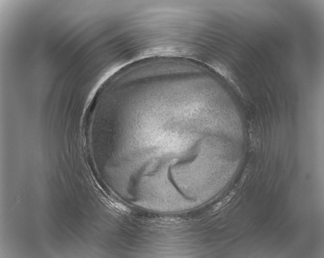 X0000056331070200509232007