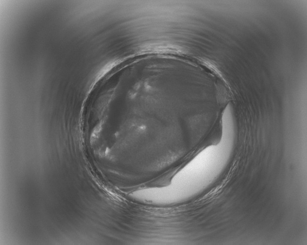 X0000056331071200509232007