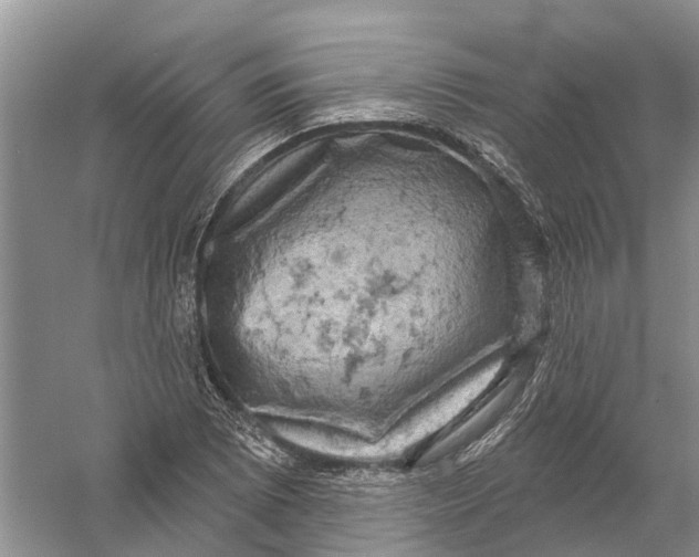 X0000056331073200509232007