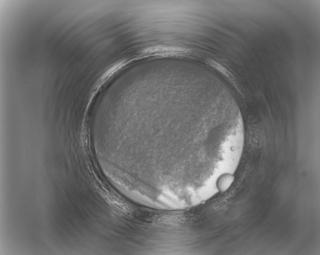 X0000056331074200509232007