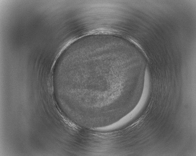 X0000056331075200509232007