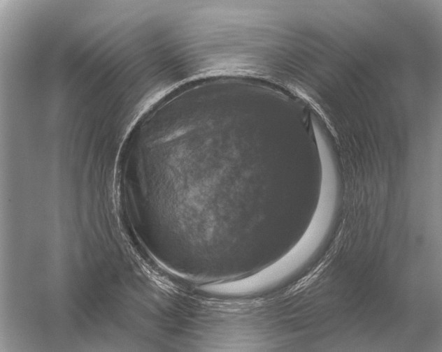 X0000056331077200509232006