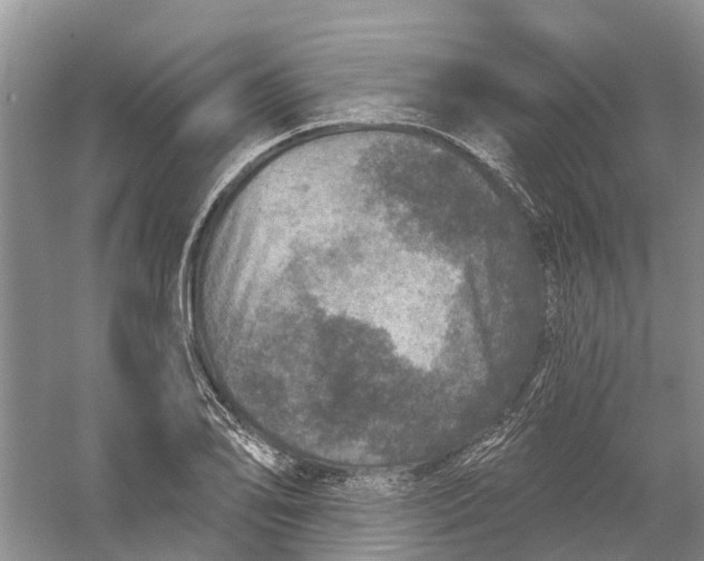 X0000056331078200509232006