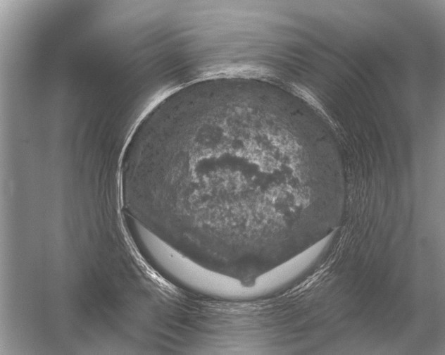 X0000056331079200509232006