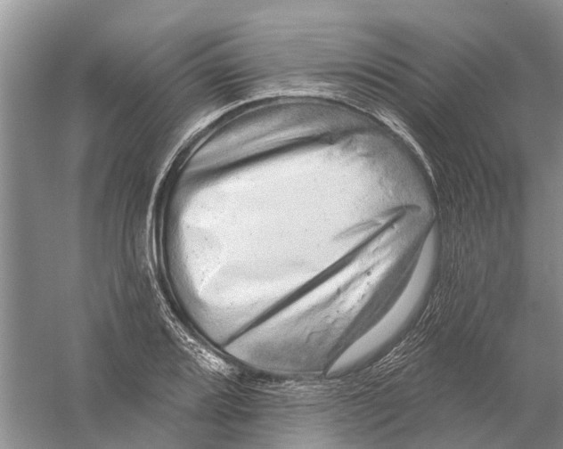 X0000056331080200509232006